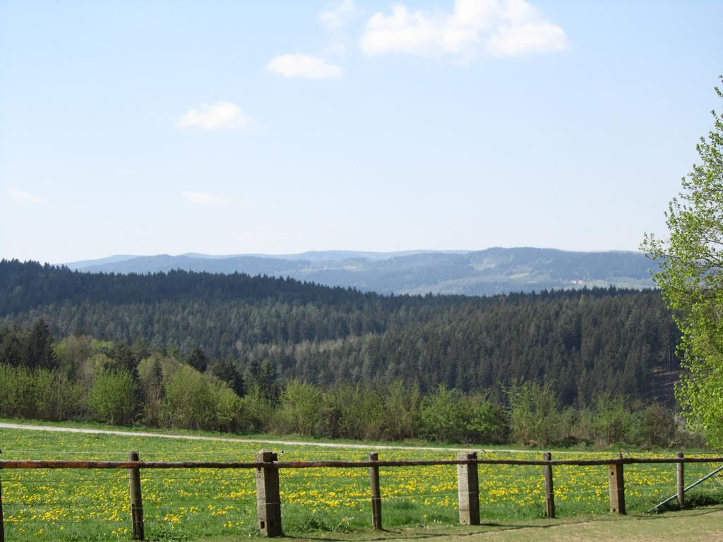 Ferienhaus Zopfhaeusl Villa Böbrach Exterior foto