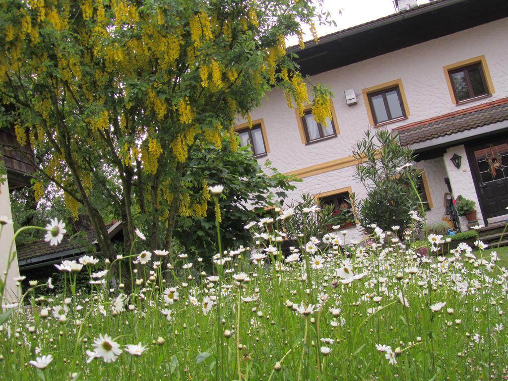 Ferienhaus Zopfhaeusl Villa Böbrach Exterior foto