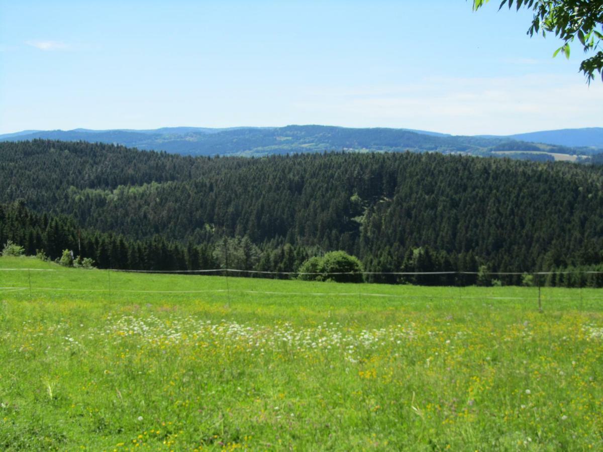 Ferienhaus Zopfhaeusl Villa Böbrach Exterior foto